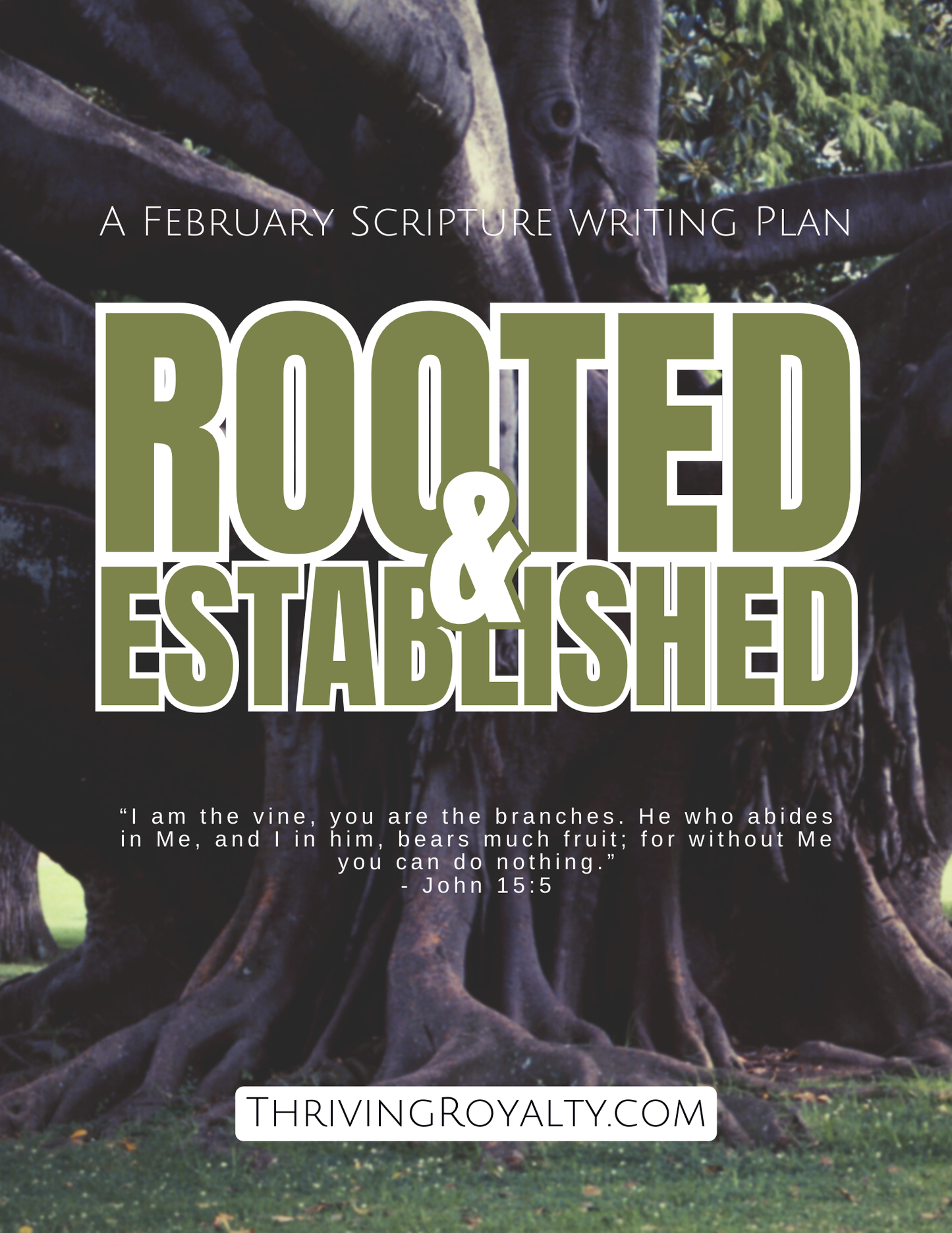 Rooted & Established (Feb 2026) SWP