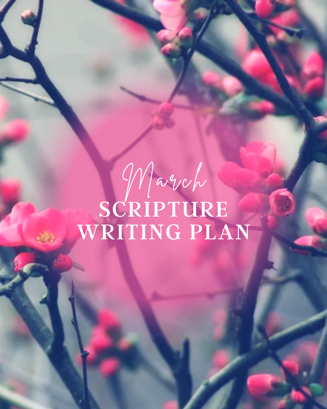 March Scripture Writing Plan